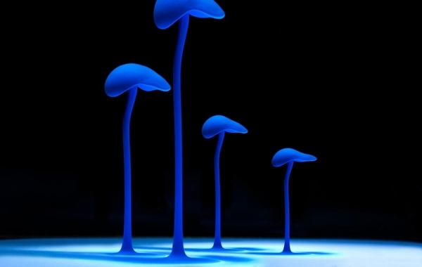 Photograph Mark Mawson Aqueous Ii on One Eyeland